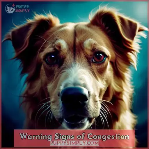 Warning Signs of Congestion
