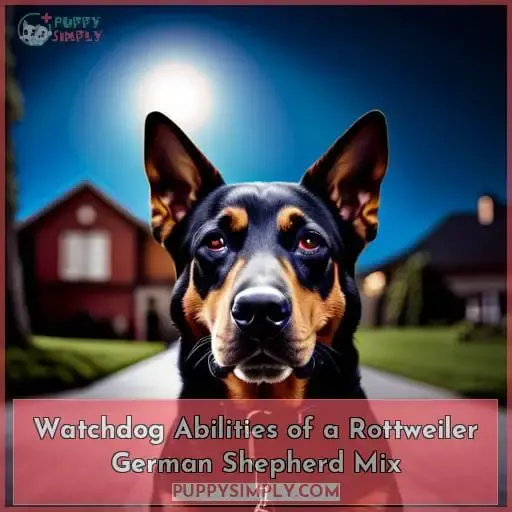 Watchdog Abilities of a Rottweiler German Shepherd Mix