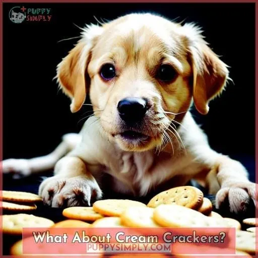 What About Cream Crackers?