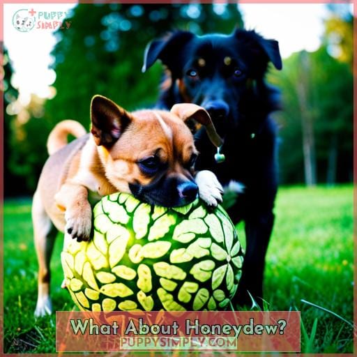 What About Honeydew?
