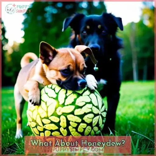 What About Honeydew?