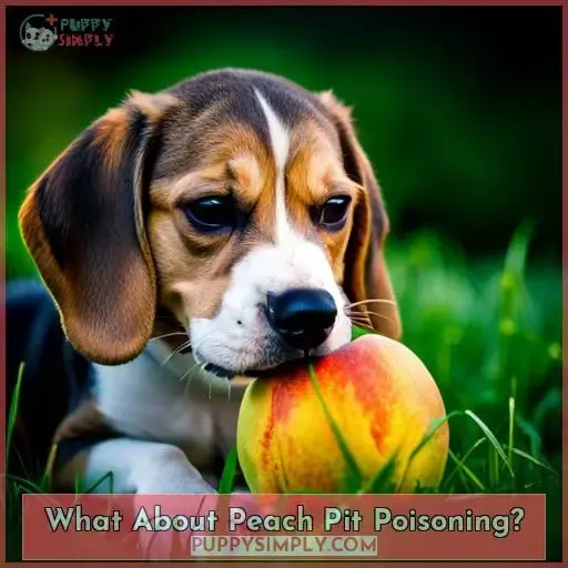What About Peach Pit Poisoning