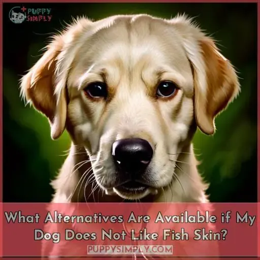 What Alternatives Are Available if My Dog Does Not Like Fish Skin?