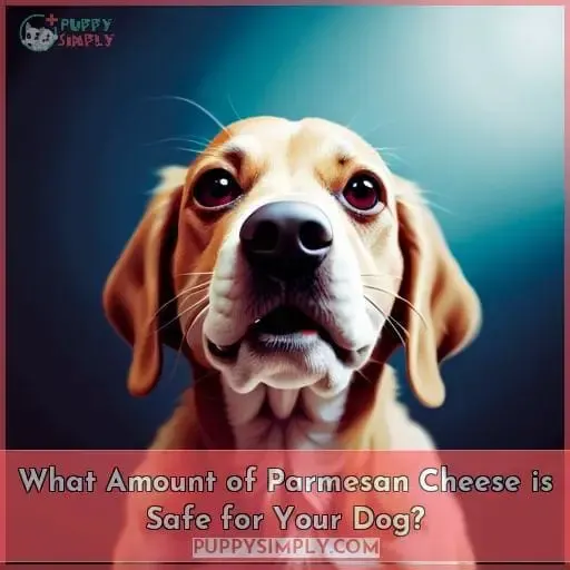 What Amount of Parmesan Cheese is Safe for Your Dog?