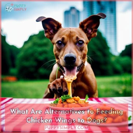 can a dog eat chicken wings