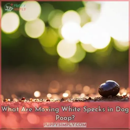 What Are Moving White Specks in Dog Poop?