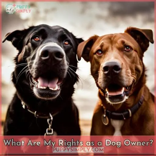 What Are My Rights as a Dog Owner?