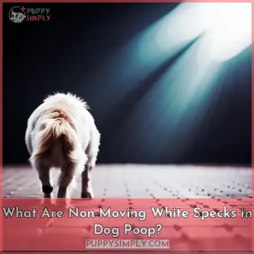 What Are Non-Moving White Specks in Dog Poop?