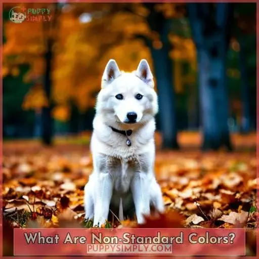 What Are Non-Standard Colors?