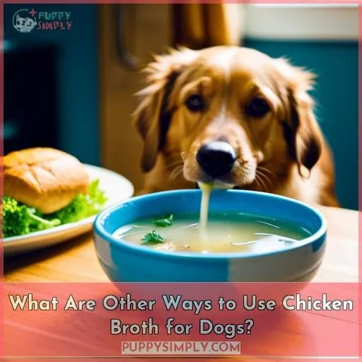 What Are Other Ways to Use Chicken Broth for Dogs?