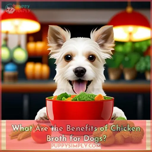 What Are the Benefits of Chicken Broth for Dogs?