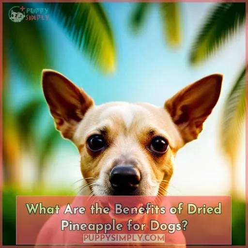 What Are the Benefits of Dried Pineapple for Dogs?