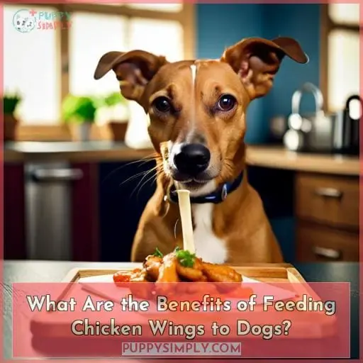 What Are the Benefits of Feeding Chicken Wings to Dogs?