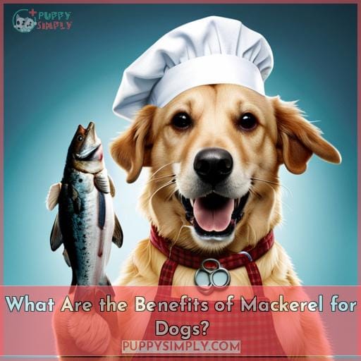 What Are the Benefits of Mackerel for Dogs What Are the Benefits of Mackerel for Dogs