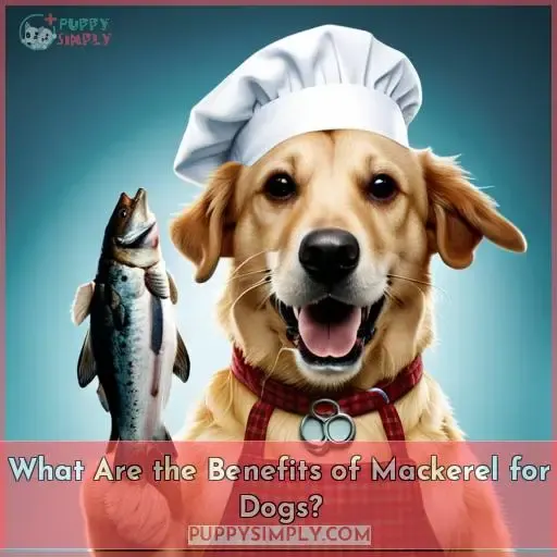 What Are the Benefits of Mackerel for Dogs