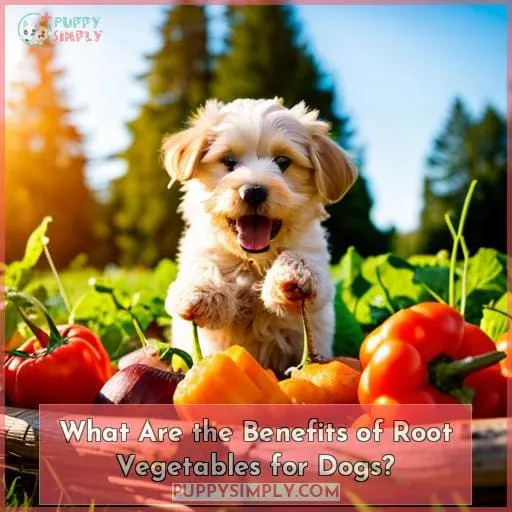 What Are the Benefits of Root Vegetables for Dogs?