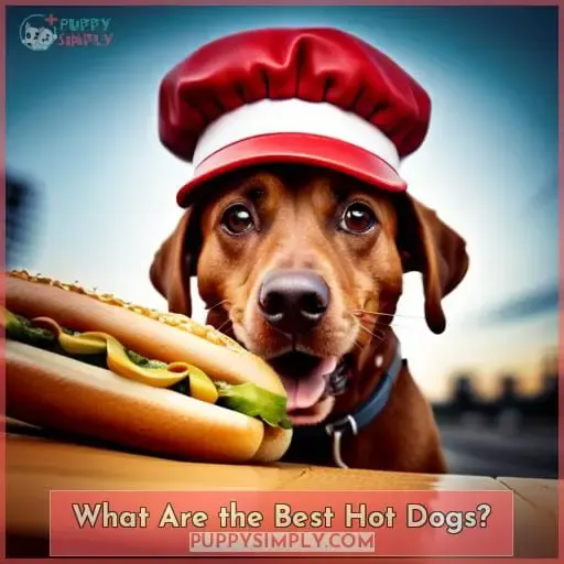 What Are the Best Hot Dogs?