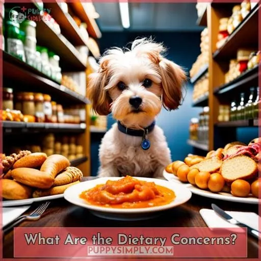 What Are the Dietary Concerns?