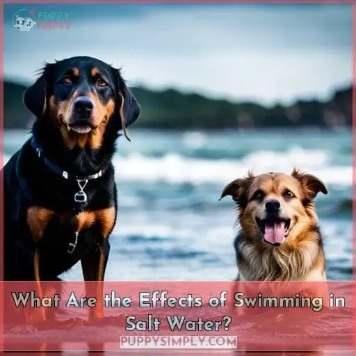What Are the Effects of Swimming in Salt Water?