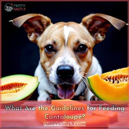 What Are the Guidelines for Feeding Cantaloupe?