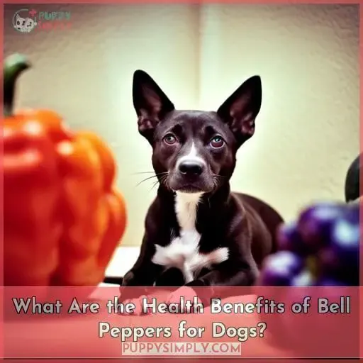 What Are the Health Benefits of Bell Peppers for Dogs?