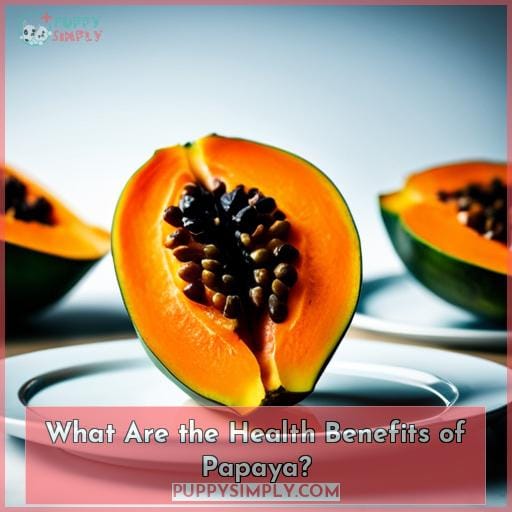 Can Dogs Eat Papaya? Benefits & Treat Recipe for Dogs
