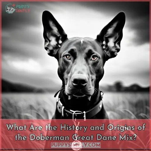 What Are the History and Origins of the Doberman Great Dane Mix?