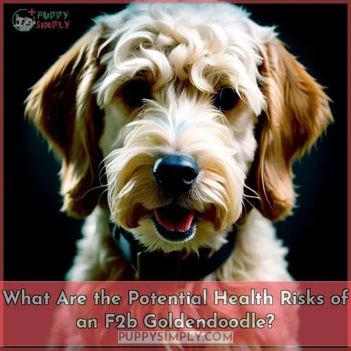 What Are the Potential Health Risks of an F2b Goldendoodle?