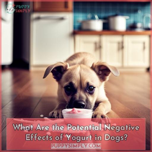 What Are the Potential Negative Effects of Yogurt in Dogs