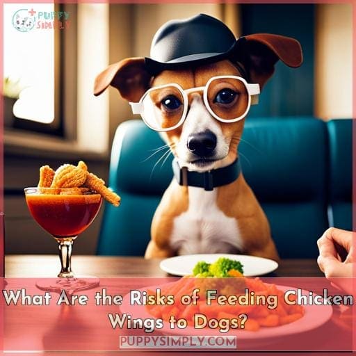 What Are the Risks of Feeding Chicken Wings to Dogs? What Are the Risks of Feeding Chicken Wings to Dogs?