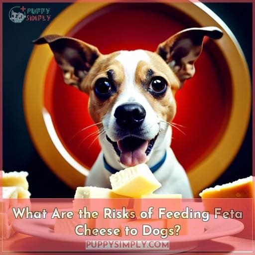 What Are the Risks of Feeding Feta Cheese to Dogs?