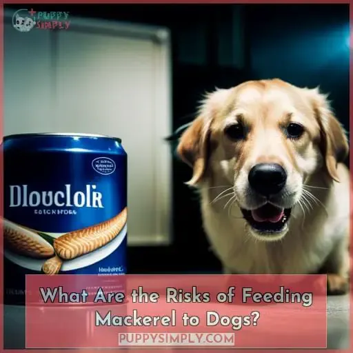 What Are the Risks of Feeding Mackerel to Dogs