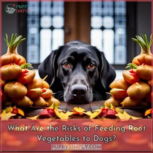 What Are the Risks of Feeding Root Vegetables to Dogs?