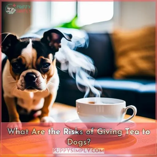 What Are the Risks of Giving Tea to Dogs?