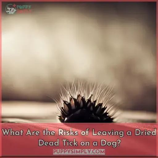 What Are the Risks of Leaving a Dried Dead Tick on a Dog?
