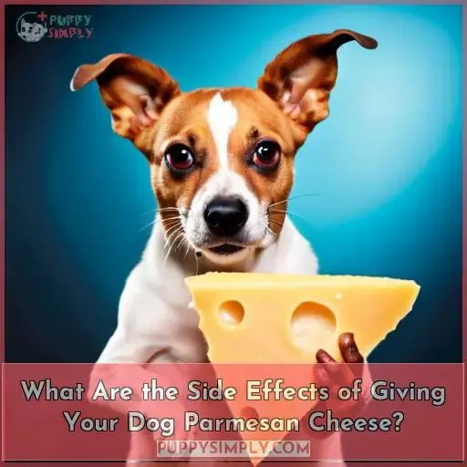 What Are the Side Effects of Giving Your Dog Parmesan Cheese?
