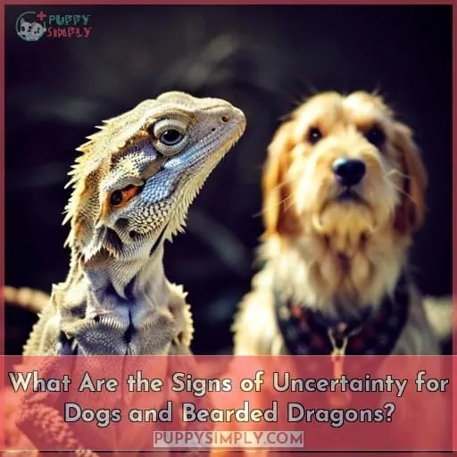 What Are the Signs of Uncertainty for Dogs and Bearded Dragons?