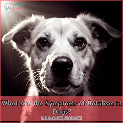 What Are the Symptoms of Botulism in Dogs?
