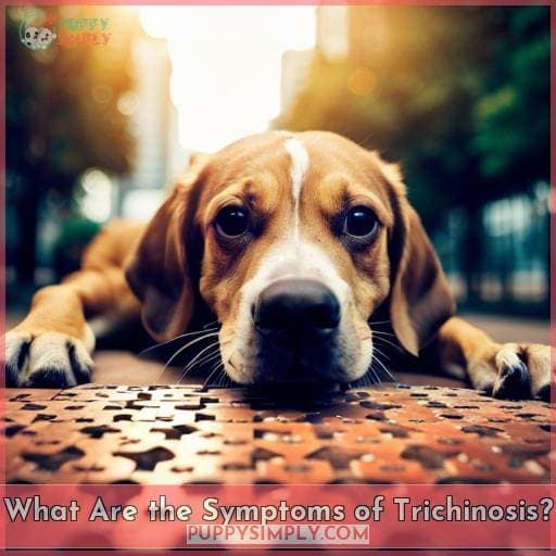 What Are the Symptoms of Trichinosis? What Are the Symptoms of Trichinosis?
