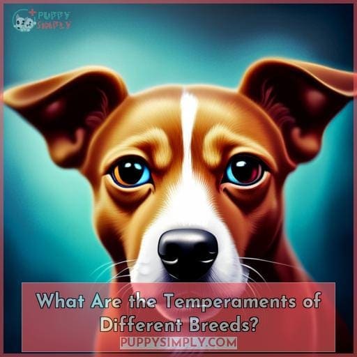 What Are the Temperaments of Different Breeds?