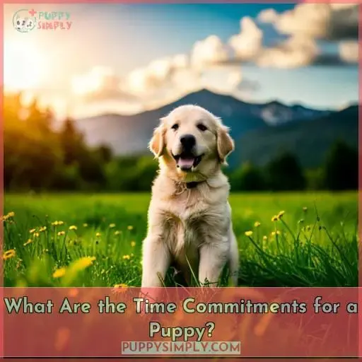 What Are the Time Commitments for a Puppy?