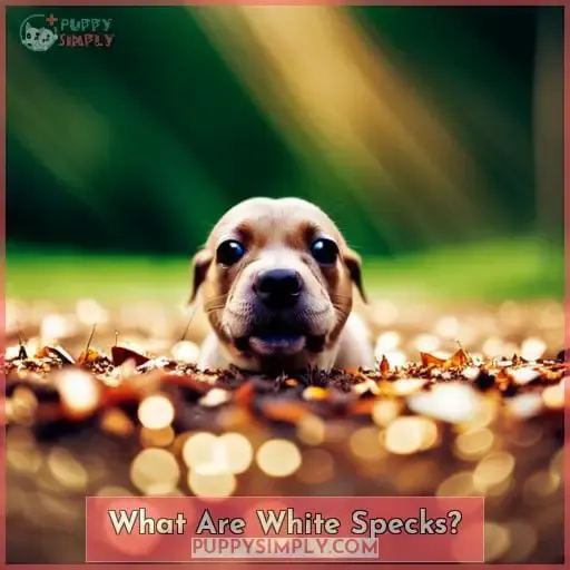What Are White Specks?