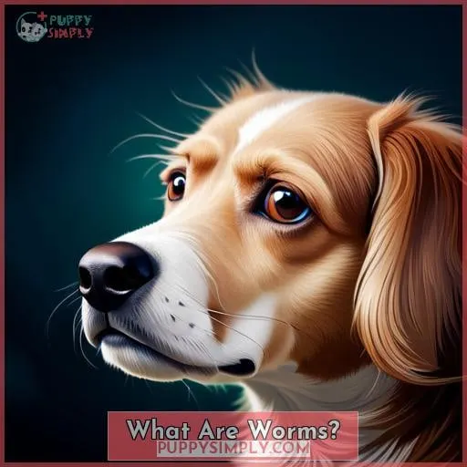 What Are Worms?