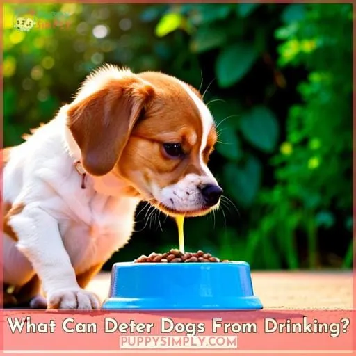 What Can Deter Dogs From Drinking?