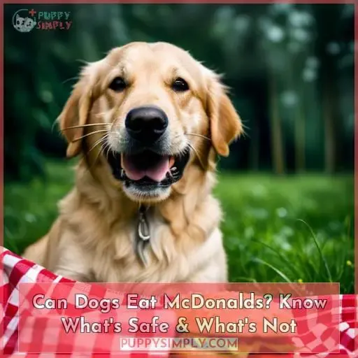 what can dogs eat from mcdonald