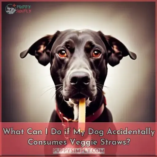 What Can I Do if My Dog Accidentally Consumes Veggie Straws?