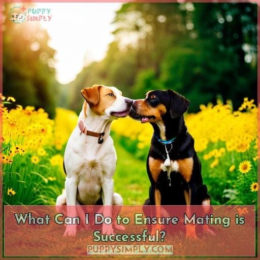 What Can I Do to Ensure Mating is Successful? What Can I Do to Ensure Mating is Successful?