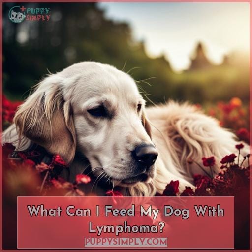 What Can I Feed My Dog With Lymphoma?