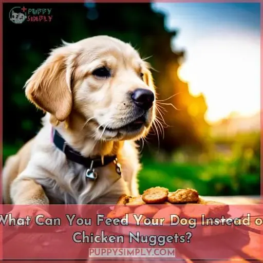 What Can You Feed Your Dog Instead of Chicken Nuggets?