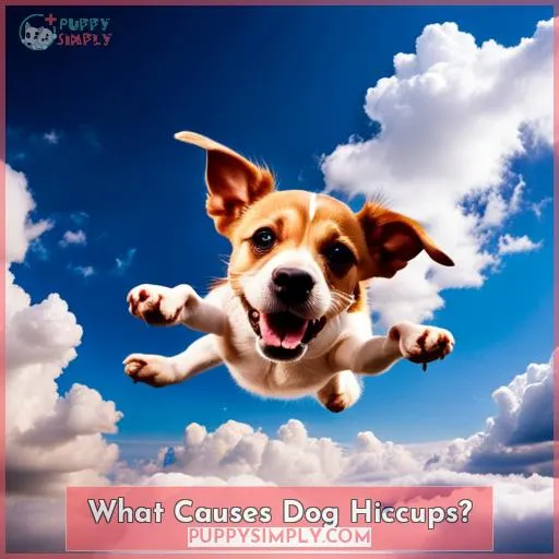 What Causes Dog Hiccups?
